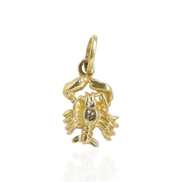 Pandantiv Zodie Aur 14k Rac - Bijuteria Cleopatra